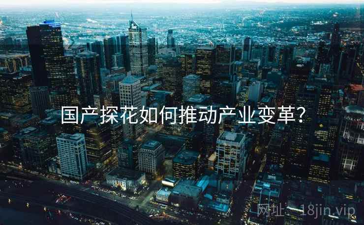 国产探花如何推动产业变革？
