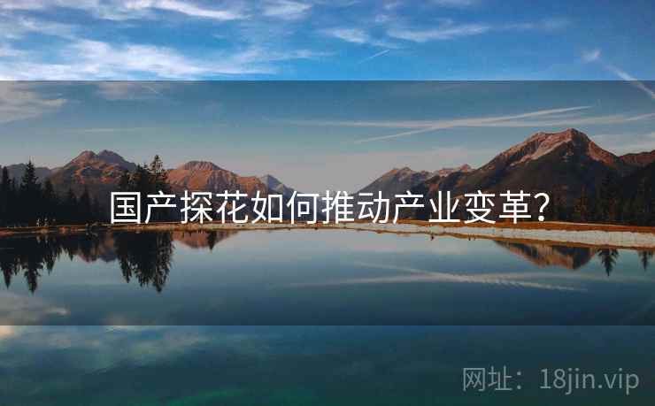 国产探花如何推动产业变革？