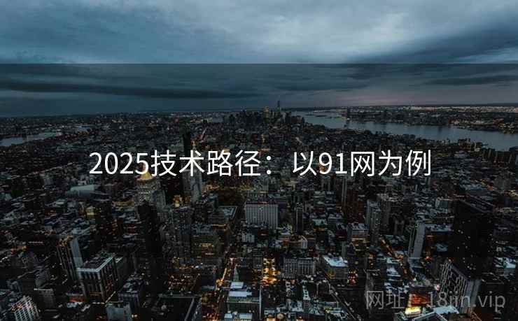 2025技术路径：以91网为例