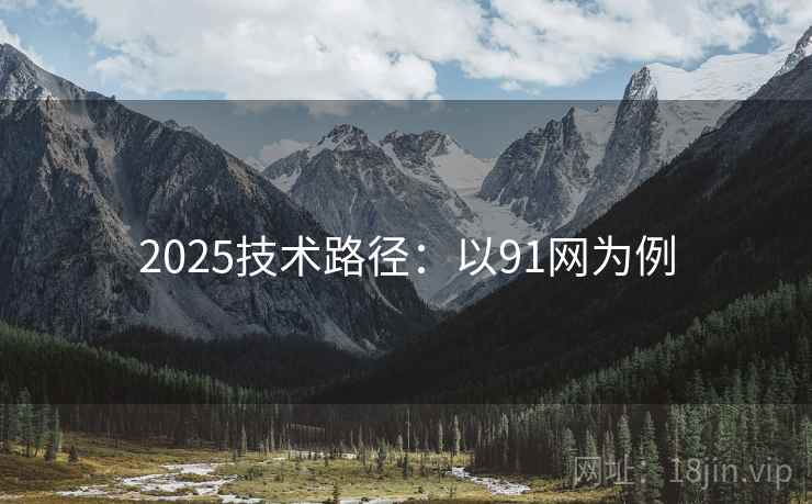 2025技术路径：以91网为例