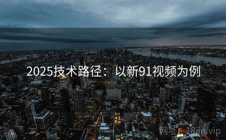 2025技术路径：以新91视频为例