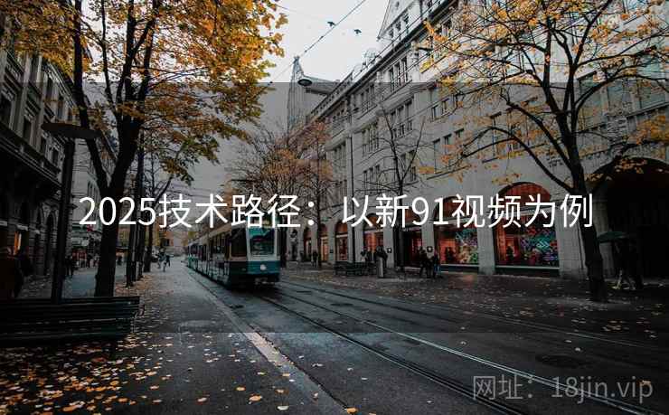 2025技术路径：以新91视频为例