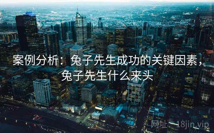 案例分析：兔子先生成功的关键因素，兔子先生什么来头