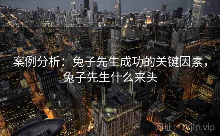 案例分析：兔子先生成功的关键因素，兔子先生什么来头