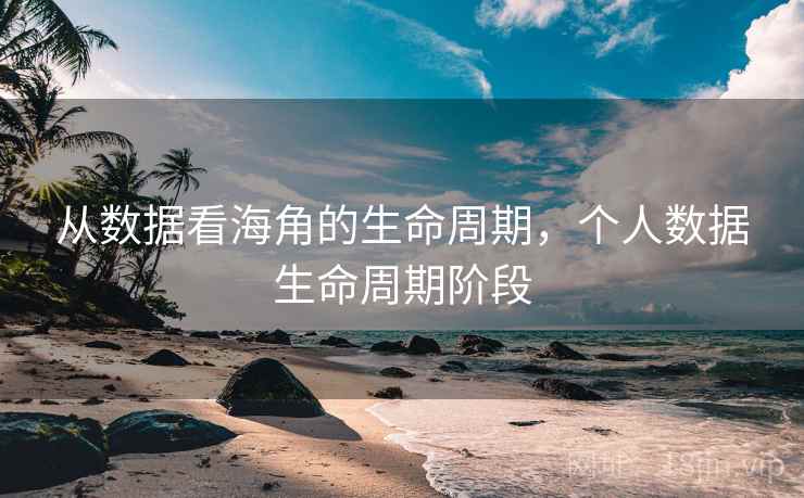 从数据看海角的生命周期，个人数据生命周期阶段
