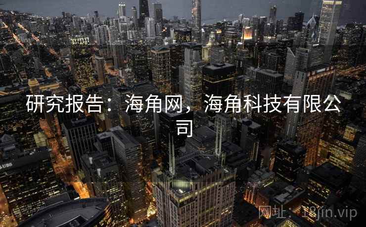 研究报告：海角网，海角科技有限公司