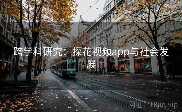 跨学科研究：探花视频app与社会发展