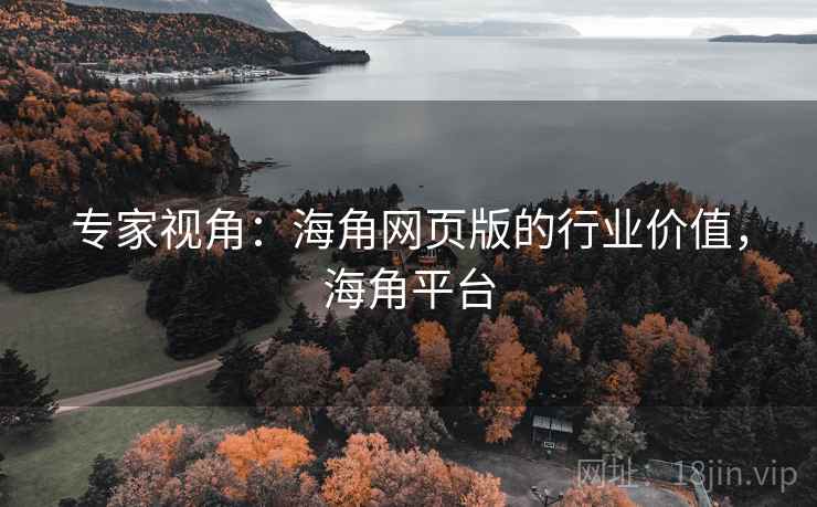 专家视角：海角网页版的行业价值，海角平台