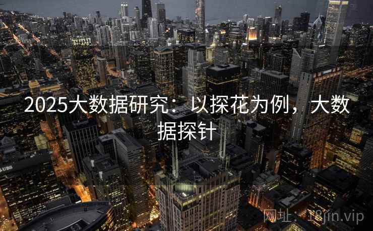 2025大数据研究：以探花为例，大数据探针