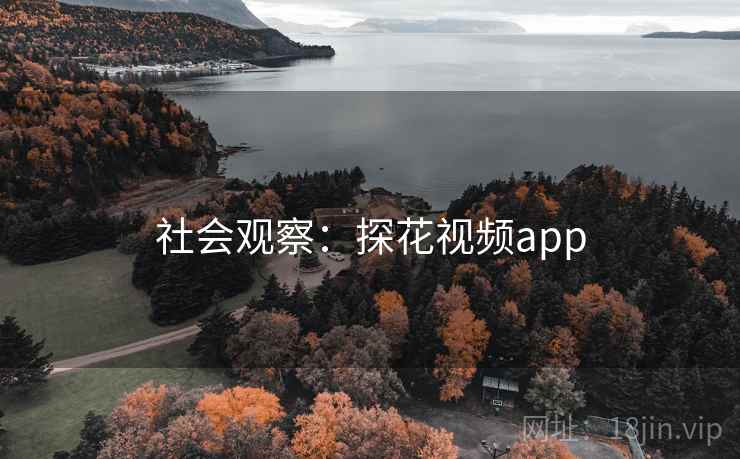 社会观察：探花视频app