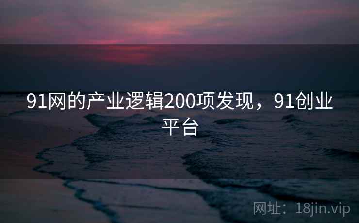 91网的产业逻辑200项发现，91创业平台